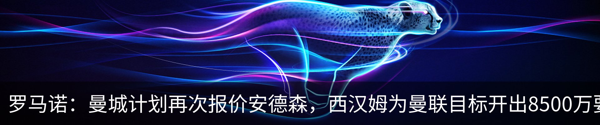 最新动态
