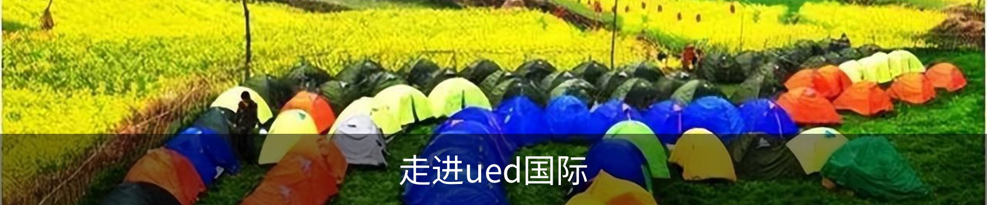 走进ued国际
